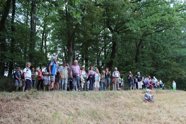 Die Wanderer schauen über die lippische Hügellandschaft. - © Nadine Uphoff