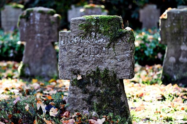 Am Volkstrauertag mahnen Politiker: Das Leid von Krieg und Diktatur darf nie vergessen werden (Archivbild). - © Federico Gambarini/dpa