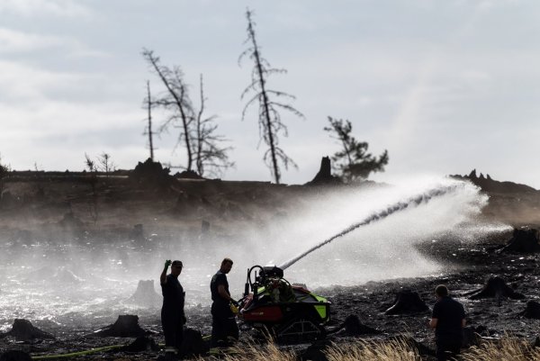 Feuerwehrleute bekämpfen versteckte Glutnester beim Waldbrand auf der Saalfelder Höhe. - © Michael Reichel/dpa