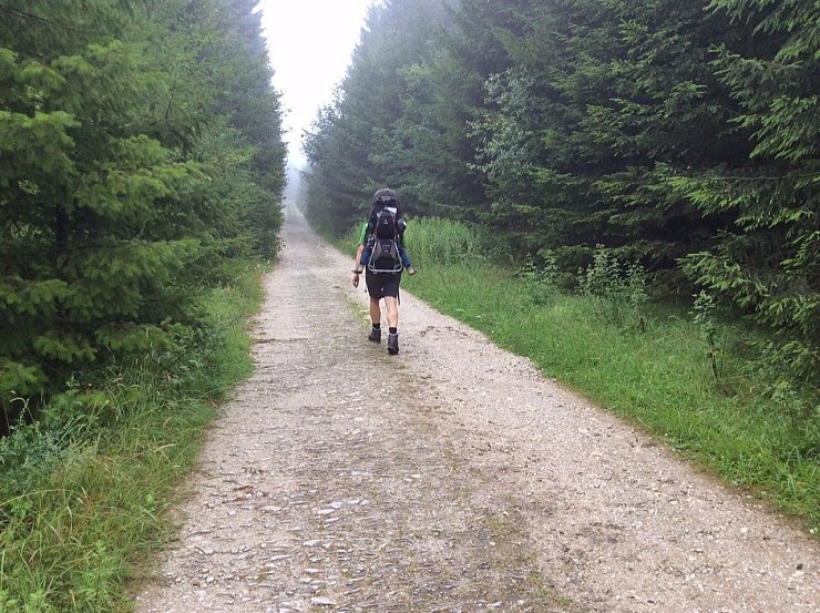 Die Wistinghauser Senne f&uuml;hrt durch den tiefen Wald. - &copy; Archivfoto: Till Brand