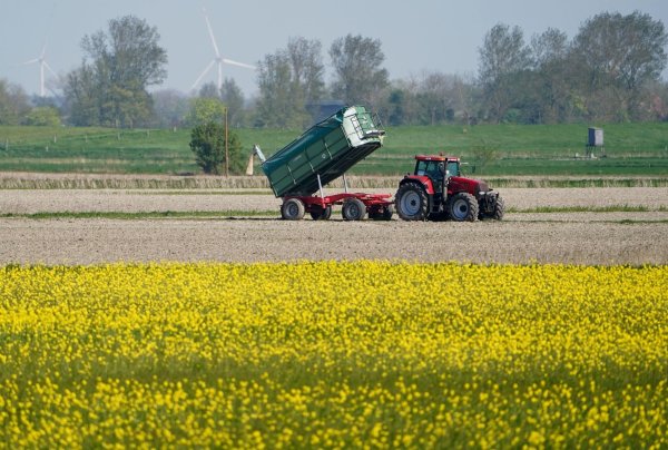 Die Umweltauflagen für Landwirte sollen auf EU-Ebene gelockert werden - das ist nicht unumstritten. - © Marcus Brandt/dpa