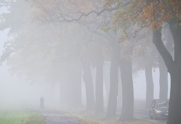Das Wetter bleibt am Wochenende oft grau. (Archivbild) - © Patrick Pleul/dpa