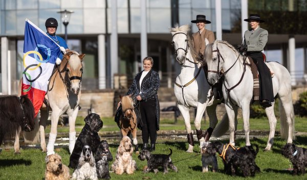 10.000 Hunde und über 250 Pferde werden auf der «Hund & Pferd» in der Dortmunder Westfalenhalle zu sehen sein. - © Dieter Menne/dpa