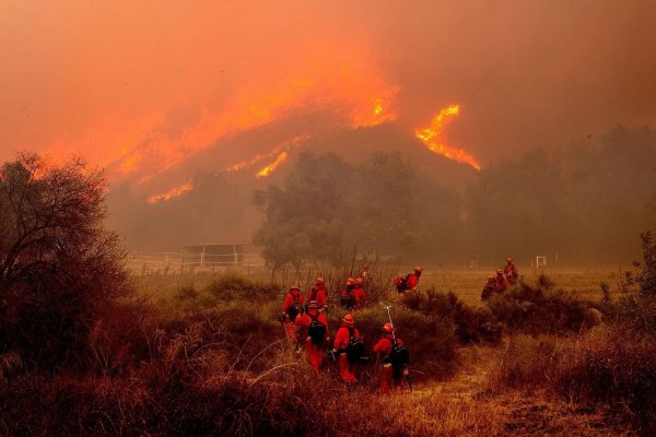 In der betroffenen Region gilt der Notstand. - © Noah Berger/AP/dpa