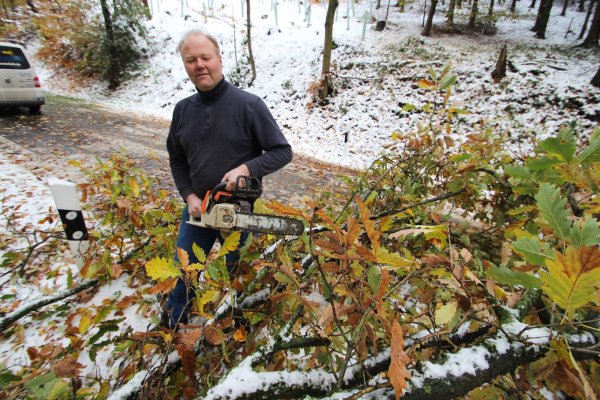 Waldbesitzer Stefan Esselmann greift zur Motorsäge, um Gehölz zu entfernen. - © Jens Rademacher