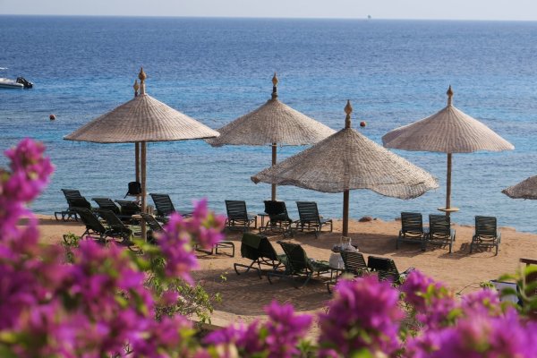 Sonnenschirme am Strand - © Foto: Andrea Warnecke/dpa-tmn