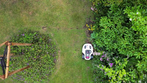 Naturschützer warnen davor, dass Mähroboter eine Gefahr sein können - vor allem für nachtaktive Tiere. (Symbolbild) - © Sascha Thelen/dpa
