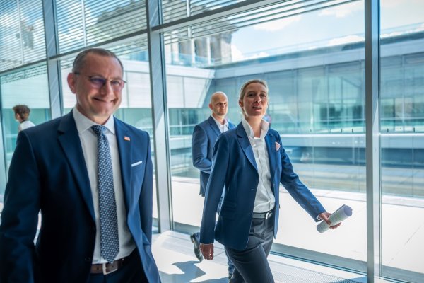 Die AfD-Chefs Tino Chrupalla (l.) und Alice Weidel können sich über einen spürbaren Anstieg ihrer Monatseinkünfte freuen. (Archivbild) - © Michael Kappeler/dpa