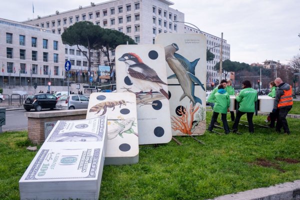 Umweltschützer begleiteten die UN-Konferenz zunächst mit Protesten - und waren am Ende zufrieden mit dem Ergebnis. - © Marco Di Gianvito/ZUMA Press Wire/dpa