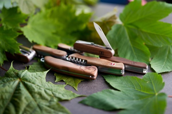 Taschenmesser im Trend - © Foto: Victorinox AG/dpa-tmn