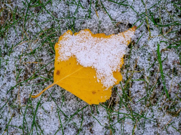 In der neuen Woche wird das Wetter winterlicher in Deutschland. (Archivbild) - © Patrick Pleul/dpa