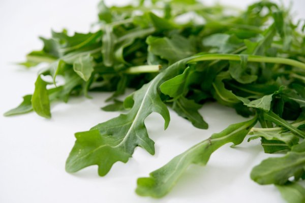 Kleine Rucolablätter sind zarter - © Foto: Inga Kjer