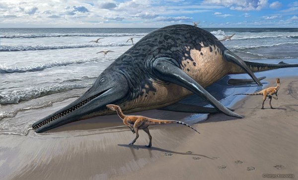 Die künstlerische Darstellung zeigt einen angeschwemmten Ichthyotitan severnensis-Kadaver am Strand. - © Sergey Krasovskiy/dpa