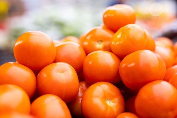 Lebensmittelpreise - © Foto: Moritz Frankenberg/dpa