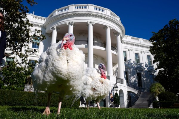 An Thanksgiving wird in amerikanischen Familien traditionell Truthahn serviert. - © Susan Walsh/AP