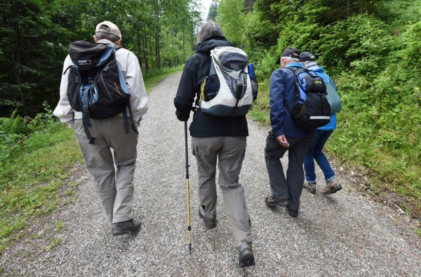 Wanderer - © Foto: Patrick Seeger/dpa