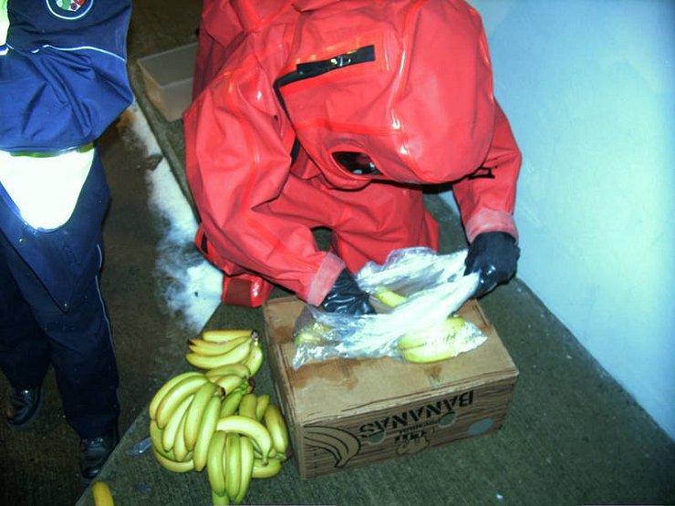 Vorsichtig und im vollständigen Schutzanzug sucht die Feuerwehr in der Bananenkiste nach der Spinne. Foto: Feuerwehr