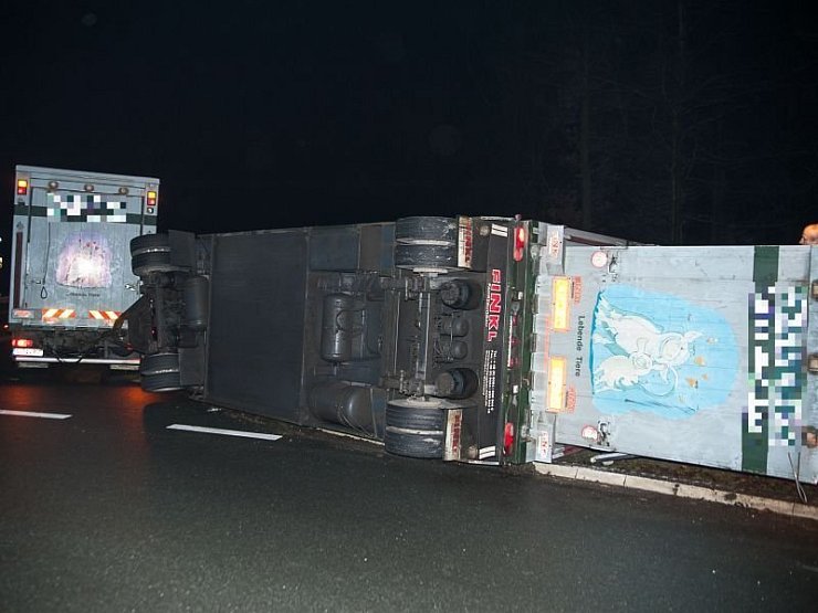 In Rheda-Wiedenbrück ist am späten Montagabend ein Viehtransporter umgekippt. - © FOTO: CHRISTIAN MATHIESEN