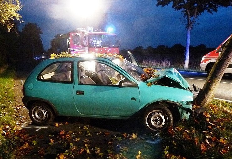 Beim Ausweichmanöver prallte die Frau gegen einen Baum. - © Foto: Polizei