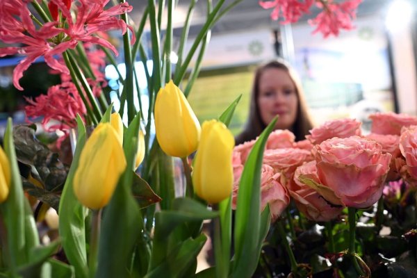 Gelb, Rot und Pastell - das sind laut Experten die Blumentrends für 2025. - © Federico Gambarini/dpa