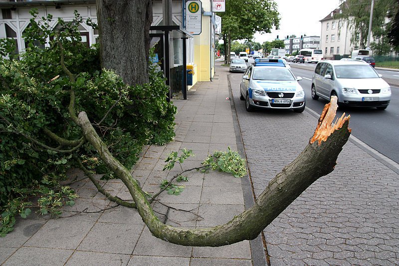 Ast stürzt auf Fußgänger Nachrichten aus OstwestfalenLippe LZ.de