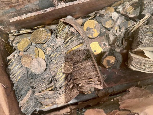 So sah der Münzschatz aus, als er aus der Erde geholt wurde. - © -/Nusmismatica Ars Classic/dpa