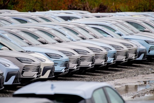 Der chinesische E-Auto-Hersteller BYD konnte seinen Absatz in Deutschland im Oktober erneut steigern. (Archivbild) - © Hauke-Christian Dittrich/dpa