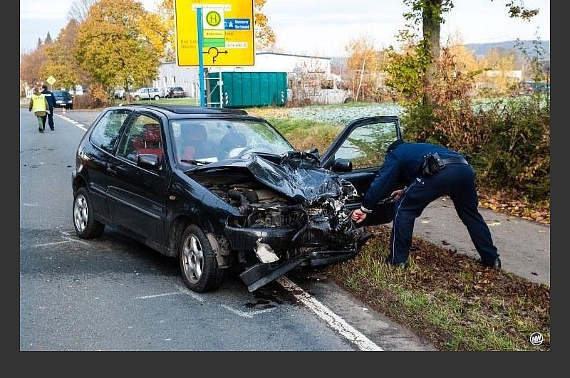 Lipper Kennzeichen