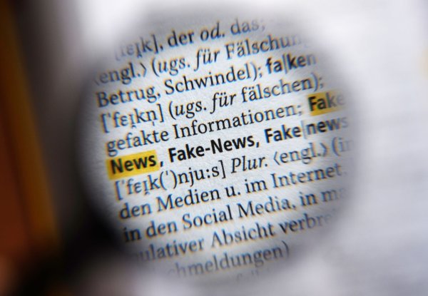 Der Internationale Faktencheck-Tag legt das Augenmerk auf die Reichweite und den Einfluss von Falsch-Informationen im Netz. - © Jens Kalaene/dpa