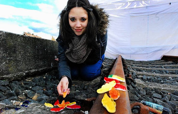 Eidechsen auf dem Bahndamm. Praktikantin Sylvia Kirchhoff hat die kleinen Tierchen entdeckt, die zwischen den Steinen hervorkommen und sich zum Sonnen aufs Gleis legen – Haribo macht’s möglich. - © FOTO: GUNTER HELD