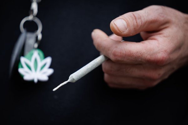 Ein Joint mit Cannabis ist in der Abgabestelle einer Anbauvereinigung zu sehen. (Archivbild) - © Friso Gentsch/dpa