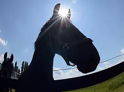 - &copy; THEMENFOTO: DPA