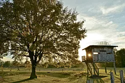 Geld bekamen in den vergangenen Jahren die Rieselfelder in der Senne . - &copy; FOTO: GERALD PAETZER