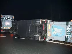 In Rheda-Wiedenbr&uuml;ck ist am sp&auml;ten Montagabend ein Viehtransporter umgekippt. - &copy; FOTO: CHRISTIAN MATHIESEN