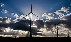 - &copy; ARCHIVFOTO: DPA