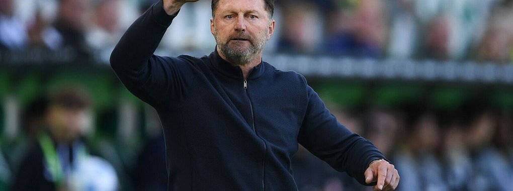 Ärgert sich über den Schiedsrichter: Wolfsburgs Trainer Ralph Hasenhüttl. - © Swen Pförtner/dpa