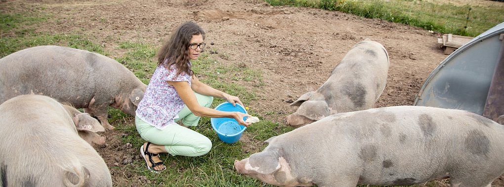 Donate füttert die Bunten Bentheimer Schweine mit Brot und Gemüse. - © Sophia Niermann