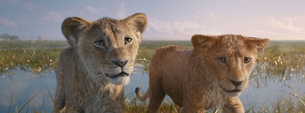 In «Mufasa: Der König der Löwen» geht es um die Vorgeschichte des Disney-Originals von 1994. - © Disney/dpa