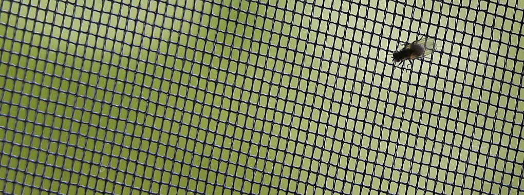 Ein klassisches Fliegengitter hält die Quälgeister aus der Wohnung fern. Soll das Netz auch Pollen reduzieren, sollten Allergiker darauf achten, dass das Material möglichst engmaschig ist. - © Karl-Josef Hildenbrand/dpa-tmn