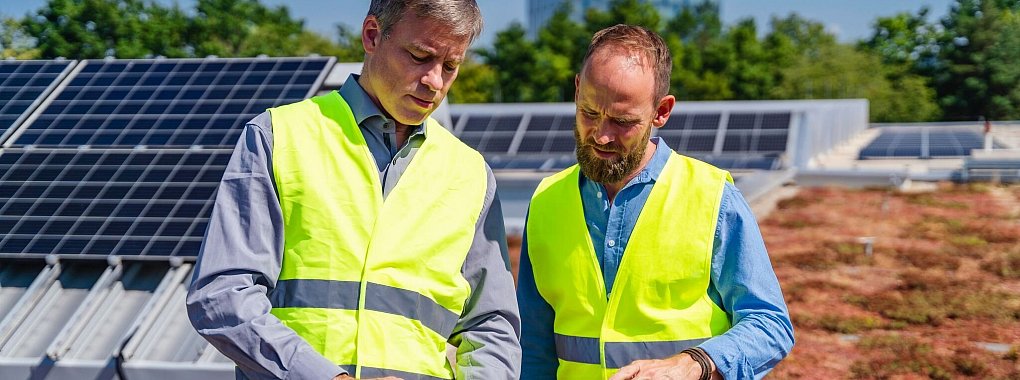 Kann man auf Flachdächern gut kombinieren: Pflanzen und Solaranlagen. - © Daniel Ingold/Westend61/dpa-tmn