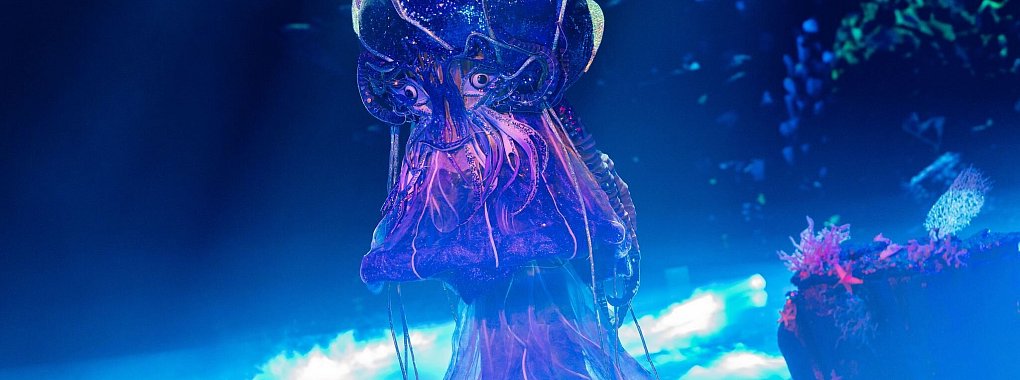 Die Qualle steht im Finale von «The Masked Singer». (Archivfoto) - © Rolf Vennenbernd/dpa
