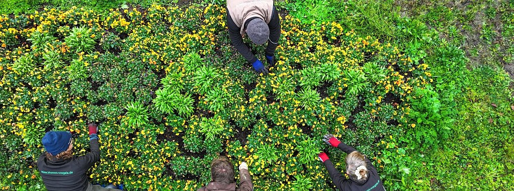 Haben Sie fleißige Helfer im Garten? Bezahlte Dienstleister können die Steuerlast ihrer Auftraggeber senken. - © Felix Kästle/dpa/dpa-tmn