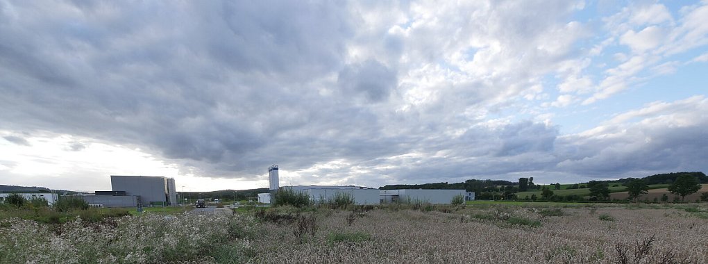 Die ehemalige Ausgleichsfläche für den bisherigen Industriepark (links Profectus und rechts Velosit im Hintergrund, ganz rechts an der Baumreihe die B239) soll Baufläche für Amazon werden. Derzeit wird sie nicht bewirtschaftet. Getreide und Wildpflanzen prägen das Bild. Foto: Jost Wolf - © Jost Wolf