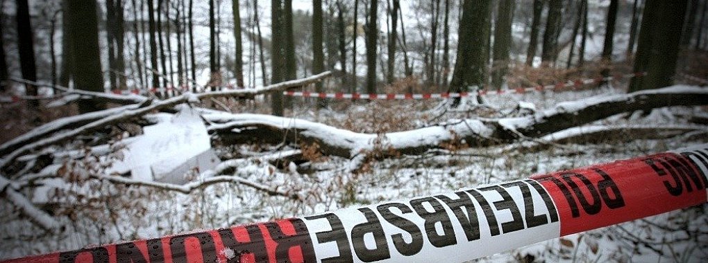 Fundort: An diesem Waldhang in Leopoldstal macht ein Anwohner im Januar 2006 einen grausamen Fund. - © Archiv: Vera Gerstendorf-Welle
