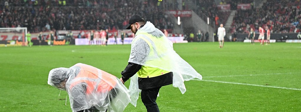 Auch in Mainz flogen Tennisb&auml;lle auf den Rasen. - &copy; Arne Dedert/dpa