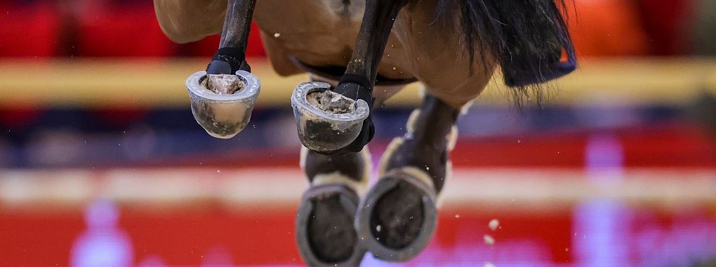 Das diesj&auml;hrige Finale des Weltcups wird in Riad geritten. - &copy; Jan Woitas/dpa/Symbolbild
