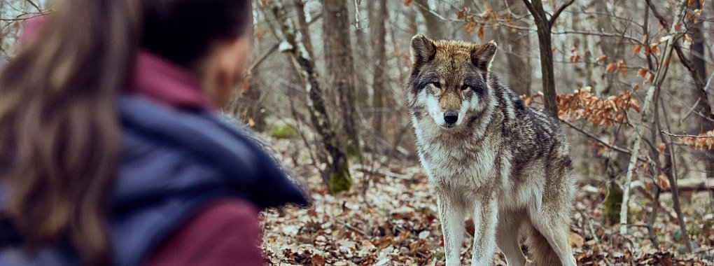 Viola Delbrück (Yvonne Catterfeld) kommt im Krimi «Wolfsland - Schwarzer Spiegel» immer wieder ins Staunen. - © MDR/Molina Film/AVM/MDR/HA Kommunikation/dpa