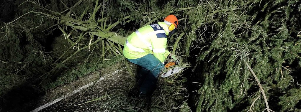 Gefallene Bäume zersägen - über viele Stunden waren die Einsatzkräfte nur damit beschäftigt. - © Feuerwehr Lage