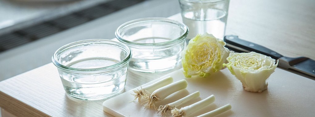 Den Strunk nicht zu kurz abschneiden - sonst wächst es nicht so gut. - © Christin Klose/dpa-tmn