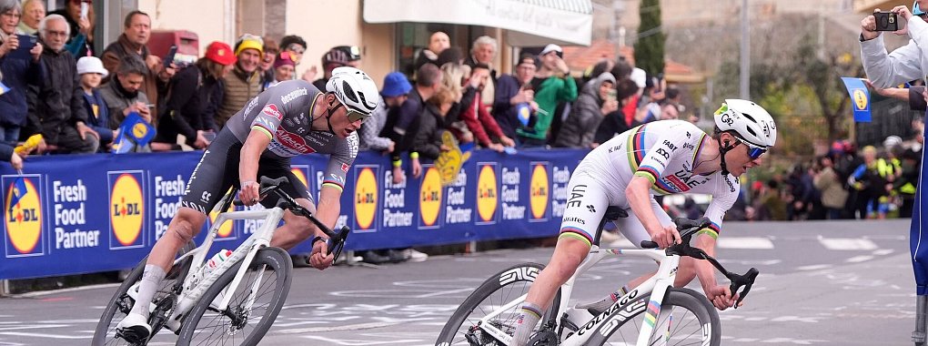 Mathieu van der Poel (l) und Tadej Pogacar werden bei der Flandern-Rundfahrt um den Sieg kämpfen. - © Fabio Ferrari/LaPresse/AP/dpa